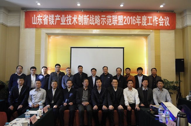 镁产业联盟会-2.JPG